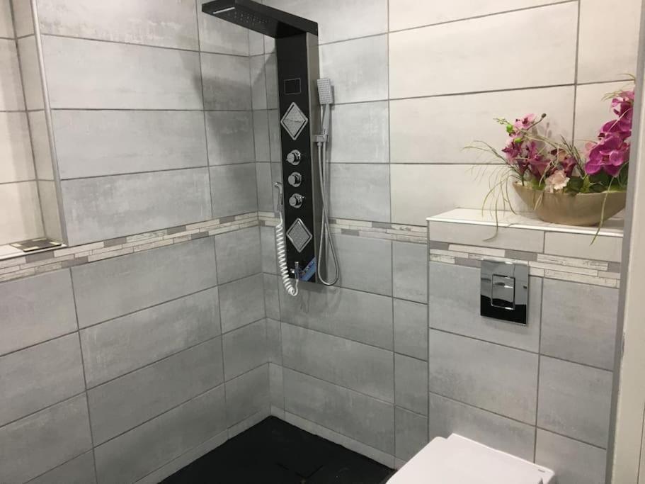 Loft Le Nid De Cigogne Villa Sélestat Buitenkant foto